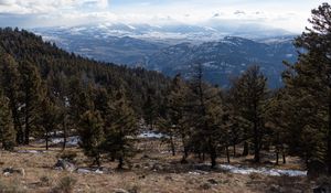 Preview wallpaper trees, mountains, landscape, nature, peaks