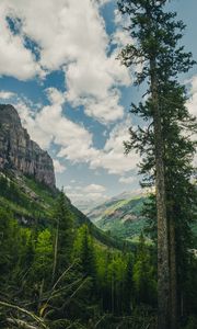 Preview wallpaper trees, mountains, landscape, forest, rocks