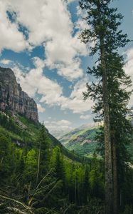 Preview wallpaper trees, mountains, landscape, forest, rocks