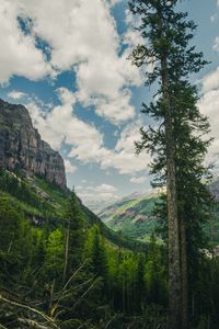 Preview wallpaper trees, mountains, landscape, forest, rocks