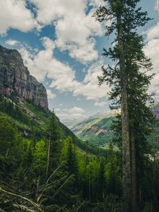 Preview wallpaper trees, mountains, landscape, forest, rocks