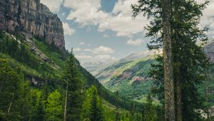 Preview wallpaper trees, mountains, landscape, forest, rocks