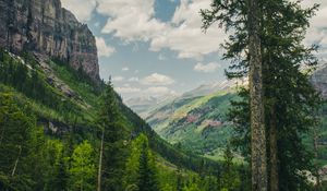 Preview wallpaper trees, mountains, landscape, forest, rocks