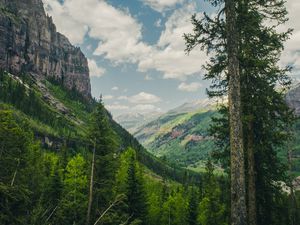 Preview wallpaper trees, mountains, landscape, forest, rocks