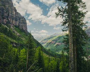 Preview wallpaper trees, mountains, landscape, forest, rocks
