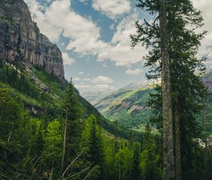 Preview wallpaper trees, mountains, landscape, forest, rocks