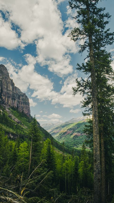 480x854 Wallpaper trees, mountains, landscape, forest, rocks