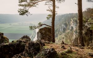 Preview wallpaper trees, mountains, landscape, aerial view