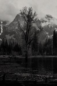 Preview wallpaper trees, mountains, landscape, nature