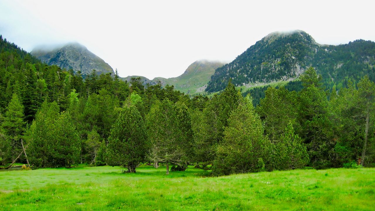 Wallpaper trees, mountains, lawn, grass, greenery