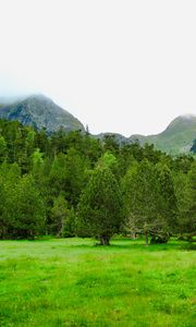 Preview wallpaper trees, mountains, lawn, grass, greenery