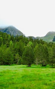 Preview wallpaper trees, mountains, lawn, grass, greenery