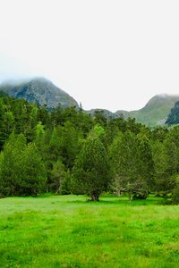 Preview wallpaper trees, mountains, lawn, grass, greenery