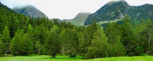 Preview wallpaper trees, mountains, lawn, grass, greenery