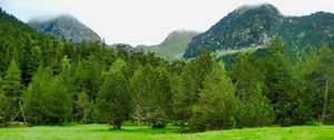 Preview wallpaper trees, mountains, lawn, grass, greenery