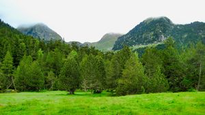 Preview wallpaper trees, mountains, lawn, grass, greenery