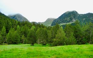 Preview wallpaper trees, mountains, lawn, grass, greenery