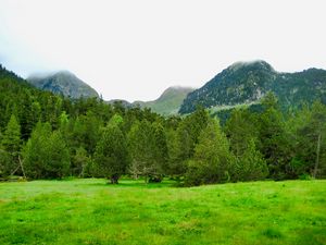 Preview wallpaper trees, mountains, lawn, grass, greenery