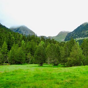 Preview wallpaper trees, mountains, lawn, grass, greenery