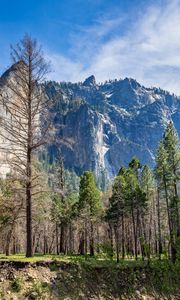 Preview wallpaper trees, mountains, nature, peak, landscape