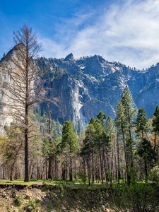 Preview wallpaper trees, mountains, nature, peak, landscape