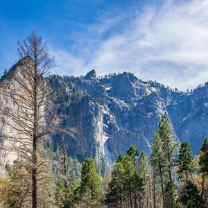 Preview wallpaper trees, mountains, nature, peak, landscape