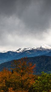 Preview wallpaper trees, mountains, peaks, snow, landscape