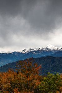 Preview wallpaper trees, mountains, peaks, snow, landscape