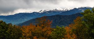Preview wallpaper trees, mountains, peaks, snow, landscape