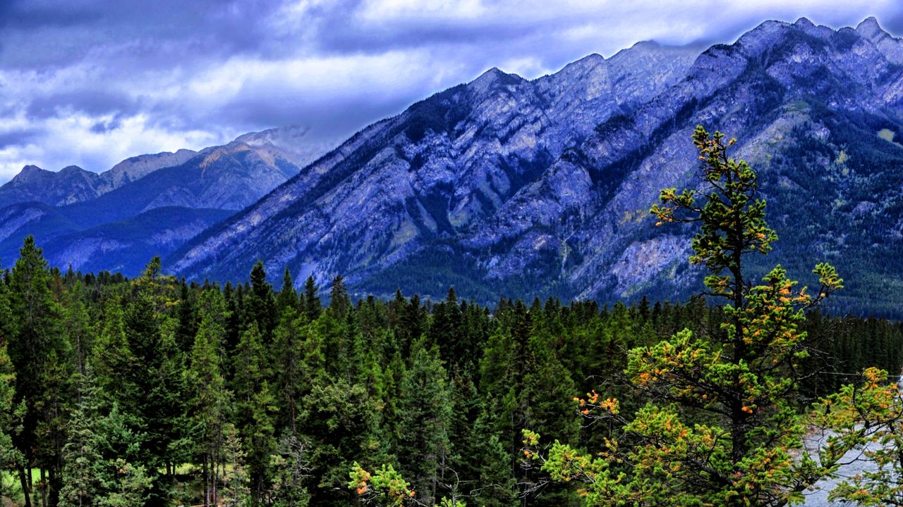 Wallpaper trees, mountains, river, nature