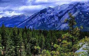 Preview wallpaper trees, mountains, river, nature