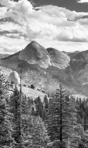 Preview wallpaper trees, mountains, slope, landscape, black and white