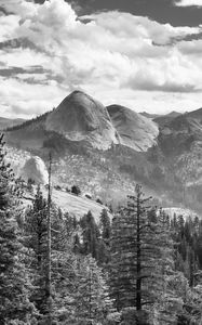 Preview wallpaper trees, mountains, slope, landscape, black and white