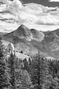 Preview wallpaper trees, mountains, slope, landscape, black and white