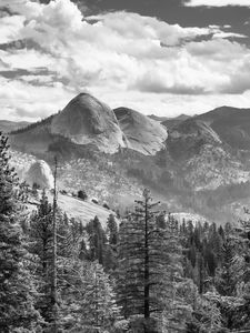 Preview wallpaper trees, mountains, slope, landscape, black and white