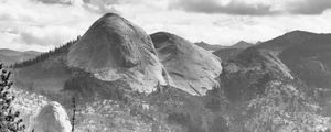 Preview wallpaper trees, mountains, slope, landscape, black and white