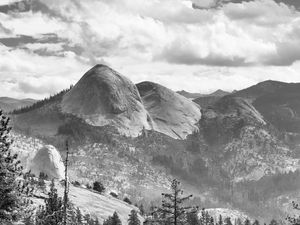 Preview wallpaper trees, mountains, slope, landscape, black and white