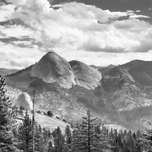 Preview wallpaper trees, mountains, slope, landscape, black and white