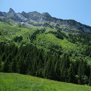 Preview wallpaper trees, mountains, slope, grass