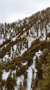 Preview wallpaper trees, mountains, snow, peaks