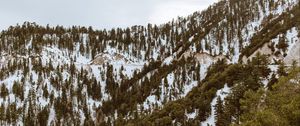 Preview wallpaper trees, mountains, snow, peaks