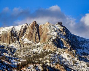 Preview wallpaper trees, mountains, snow, clouds, sky, nature