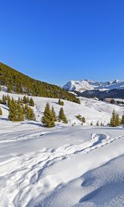 Preview wallpaper trees, mountains, snow, winter, landscape, nature