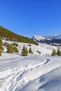 Preview wallpaper trees, mountains, snow, winter, landscape, nature