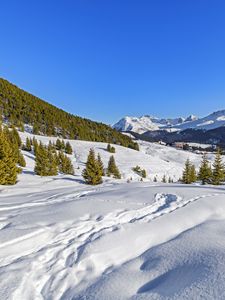 Preview wallpaper trees, mountains, snow, winter, landscape, nature
