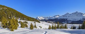 Preview wallpaper trees, mountains, snow, winter, landscape, nature