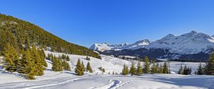 Preview wallpaper trees, mountains, snow, winter, landscape, nature