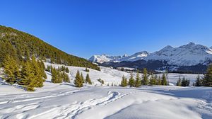 Preview wallpaper trees, mountains, snow, winter, landscape, nature