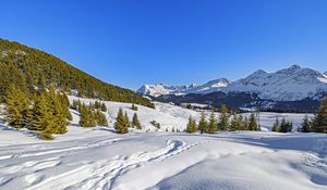 Preview wallpaper trees, mountains, snow, winter, landscape, nature