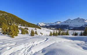 Preview wallpaper trees, mountains, snow, winter, landscape, nature